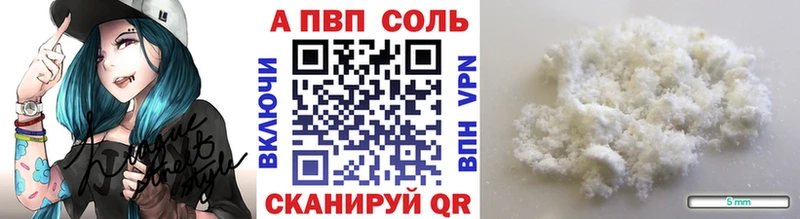 A-PVP СК  Химки 