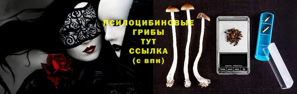 гидропоника Абаза