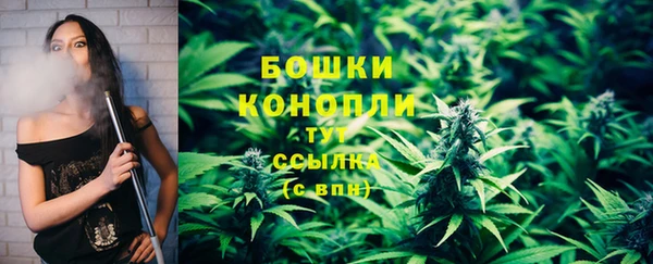 гидропоника Абаза