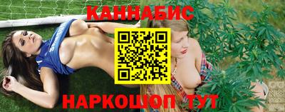 прущие грибы Новозыбков