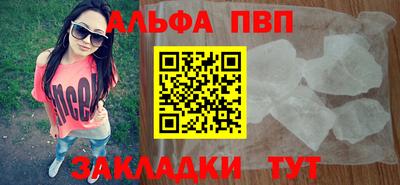 прущие грибы Новозыбков