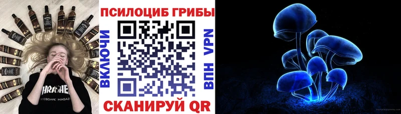 хочу наркоту  Химки  blacksprut tor  Псилоцибиновые грибы прущие грибы 