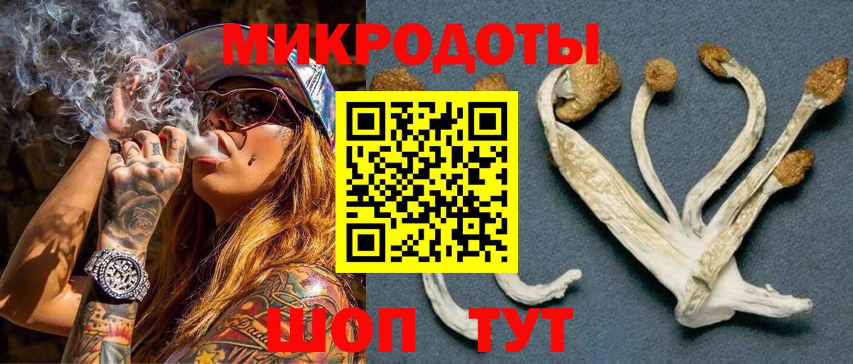 где купить   Галлюциногенные грибы мицелий  Вход с VPN  Химки 