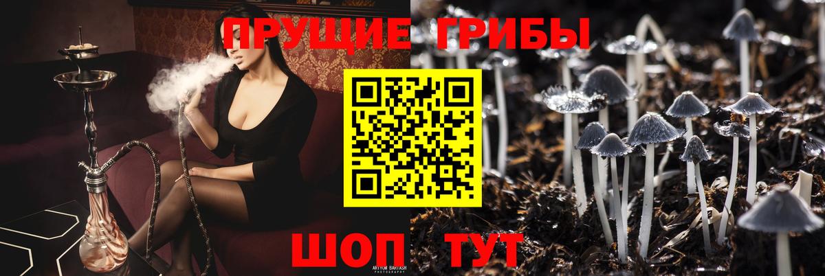 Псилоцибиновые грибы GOLDEN TEACHER Химки